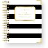 Black Stripe - 2026-27