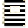 Black Stripe- 2025/2026